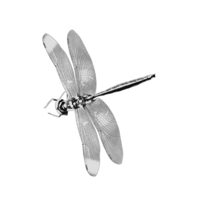 Katrine Louise Jakobsen Katrine Louise Jakobsen