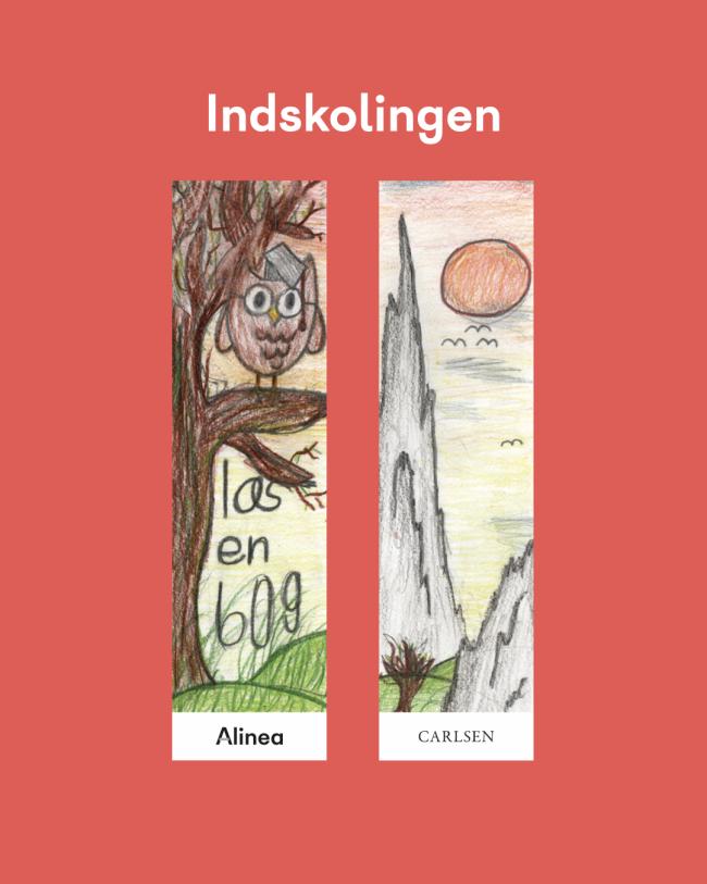 3.A fra Bagterpskolen i Hjørring