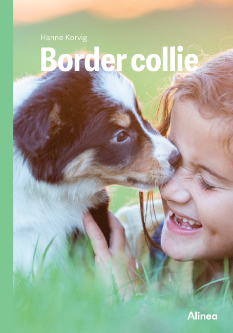 Border collie, Grøn Fagklub